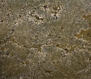 Granite Olive 1494