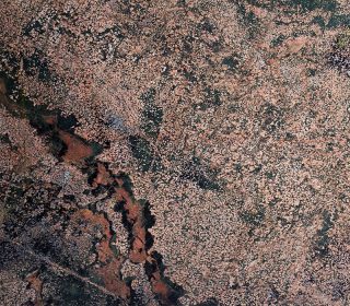 Granite Olive 1496