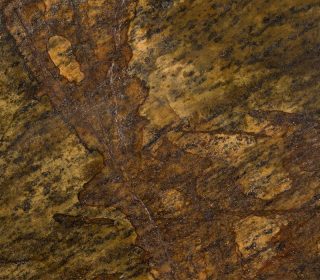 Granite Polychrome 1829