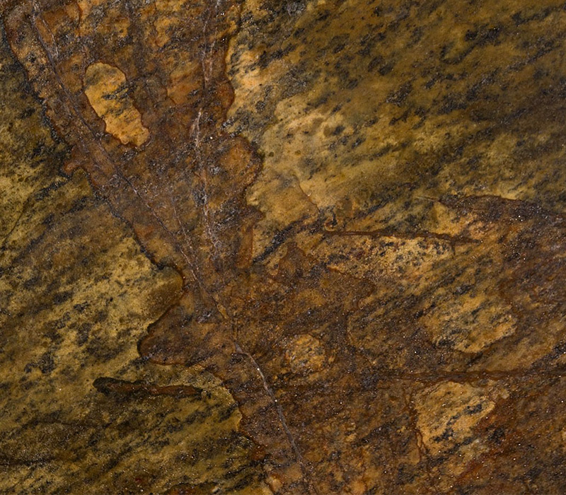 Granite Polychrome 1829