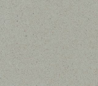 Pewter RC101