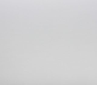 White Pearl Z1542