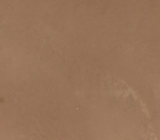 Cambrian Cream