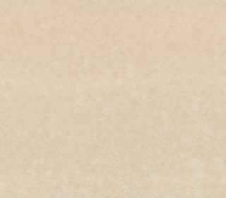 TCE23