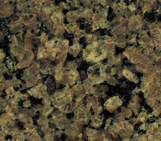 Tropical Brown