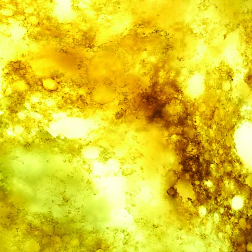 <span style="color:white">5</span>OKITE® - Translucent Collection-9002