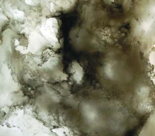 <span style="color:white">6</span>OKITE® Translucent collection - 9004