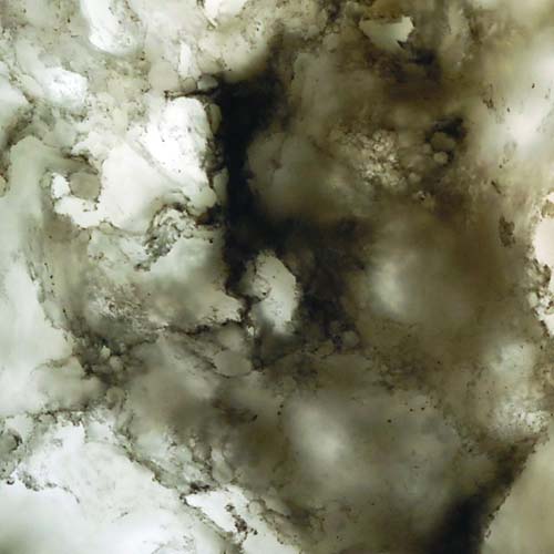 <span style="color:white">6</span>OKITE® Translucent collection - 9004